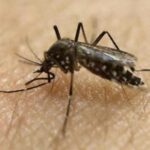 For representational purposes