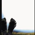 Mysterious skin infection leaves 6 dead at care home in Kerala