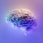 Tiny Brain Area, pea-sized brain, Netherlands Institute for Neuroscience,