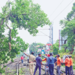 Fire and Rescue Services and police personnel clearing the railway route after a portion of a tree fell on the tracks near Pachalam on Sunday