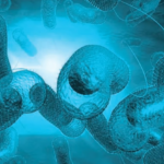 Stay informed and stay safe! Learn about the suspected cholera outbreak in Thiruvananthapuram's Sree Karunya Mission Charitable School Society hostel. Understand the symptoms, preventive measures, and updates on this developing health situation.