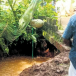 The well on the property of Pandala Saju in Illithodu into which the elephant calf fell on Wednesday