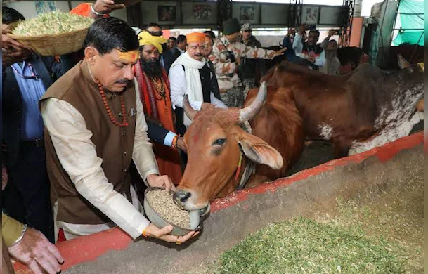 Madhya Pradesh's dairy agreement sparks political controversy, with Congress alleging favoritism towards Gujarat's Amul over local Sanchi milk.