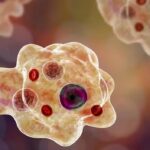 Kerala Reports Sixth Death from Brain-Eating Amoeba in One Month