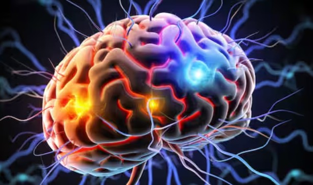 Kerala Brain Infection Outbreak: 5 Deaths Raise Health Alarm